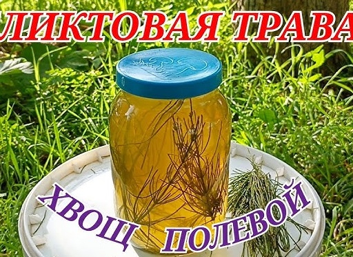 Как продлить быстротечную жизнь . Вода живая и мертвая.