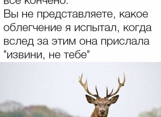 Между нами девочками, смешные переписки подруг