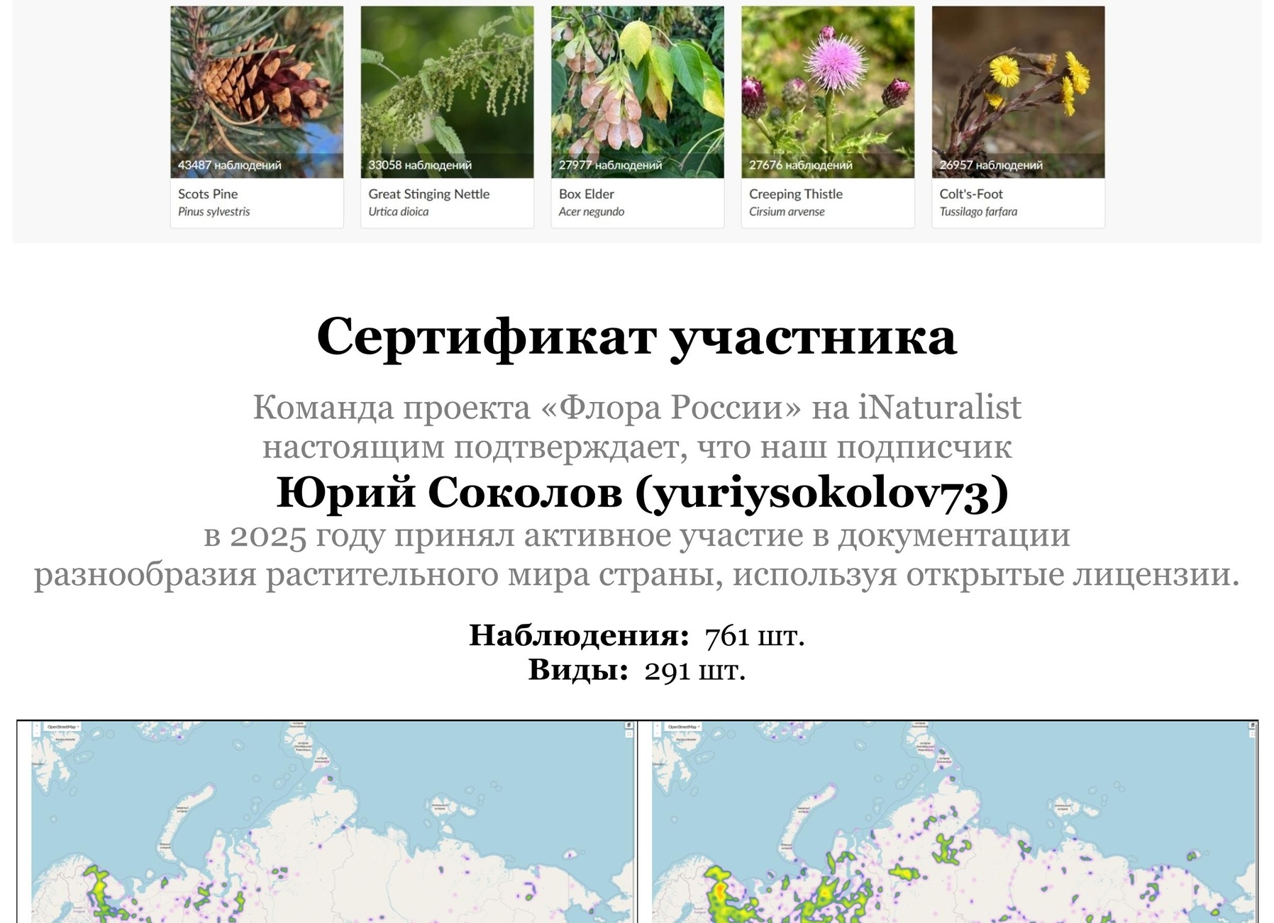 Пять моих привычек , благодаря которым мы с дочкой экономим на одежде , ни в чем себе не отказывая )))
