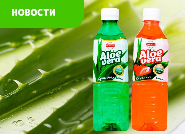 Алоэ вера должен быть в каждом доме. Вы очень удивитесь, когда узнаете чудесные свойства этого растения