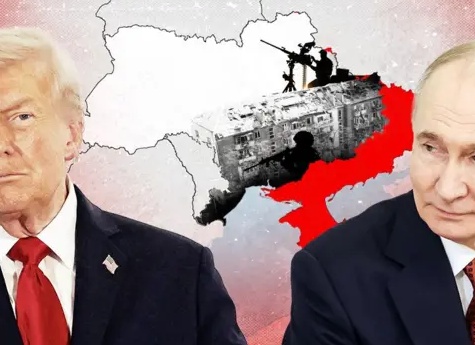 Купила костюм, а дома увидела не снятый защитный магнит. Что делать? Возвращаться?